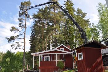 Trädlyft över sommarstuga vid Sunnanö i Borlänge